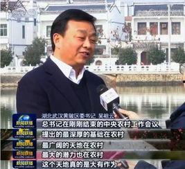 今日三乡新闻爆料,揭秘今日热点事件背后的真相  第1张