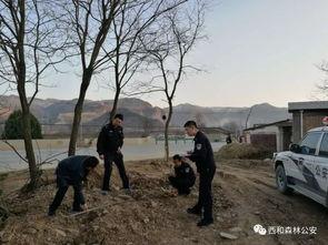 甘肃西和县爆料事件最新,揭开乡村乱象背后的真相  第2张