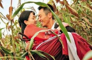 红高梁在线观看,烽火岁月里的爱情与抗争  第3张